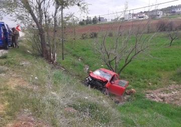 Ağaca çarpan otomobil şarampole yuvarlandı