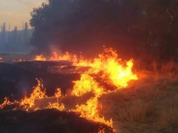 Ağaçlık alana sıçrayan yangın 