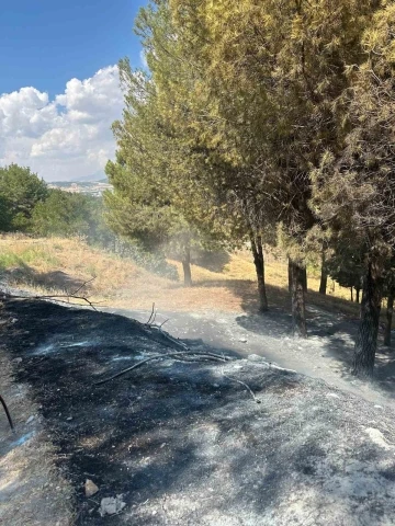 Ağaçlık alanda çıkan yangın konteyner kentte sıçramadan söndürüldü
