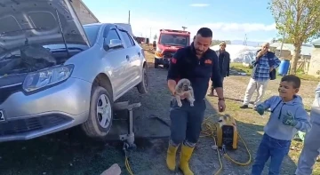 Ağrı’da araçta sıkışan yavru köpeği itfaiye ekibi kurtardı
