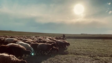 Ağrı’da gün batımı göz kamaştırdı
