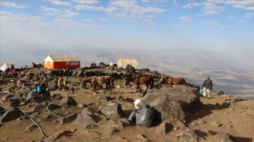 Ağrı Dağı eteklerindeki köylüler tırmanışa gelen dağcılara lojistik destek sağlıyor