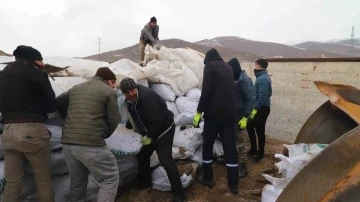 Ağrı’dan deprem bölgesine mısır silajları gönderildi
