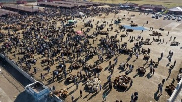 Ağrı Hayvan Borsası'nda Kurban Bayramı yoğunluğu yaşanıyor