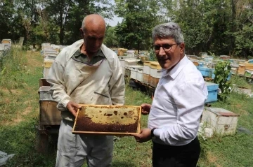 Ağrılı arıcılar tescilli &quot;geven balı&quot; hasadını sürdürüyor
