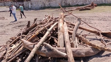 Akçakoca’da odunlar sahili doldurdu
