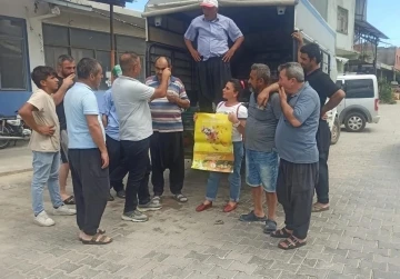 Akdeniz meyve sineği ile mücadele başladı
