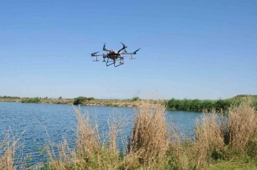 Akşehir’de kronomid sineğine dron ile mücadele
