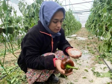 Aksu’da fırtına ve dolu sebebiyle 95 dekar sera alanı zarar gördü
