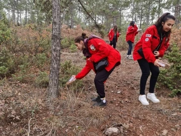 AKUT ve öğrenci kulüpleri sokak hayvanlarına yiyecek bıraktı
