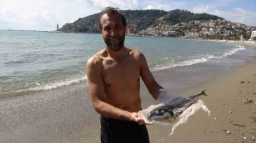 Bursa'dan Alanya’ya giden vatandaşa balon balığı sürprizi