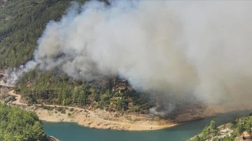 Alanya'da çıkan orman yangınına havadan ve karadan müdahale ediliyor