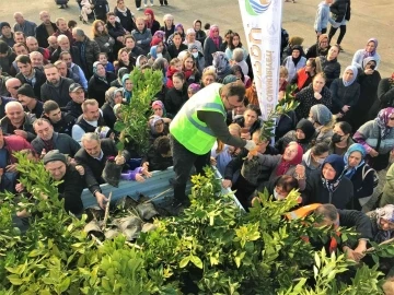 Altınordu Belediyesi 341 bin fidanı toprakla buluşturdu
