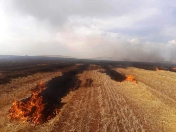 Altıntaş’ta çıkan yangında 500 dekar ekili alan zarar gördü
