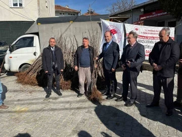 Altıparmak kiraz projesi fidan dağıtımı yapıldı
