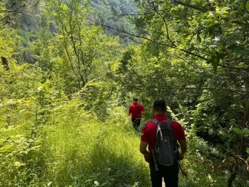 Amasya’dan geldiği Kastamonu’da kayıplara karışan bekçi her yerde aranıyor
