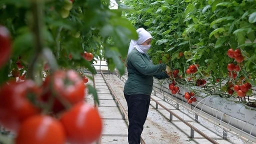 Anadolu coğrafyasının &quot;Beyaz Altını&quot; jeotermal
