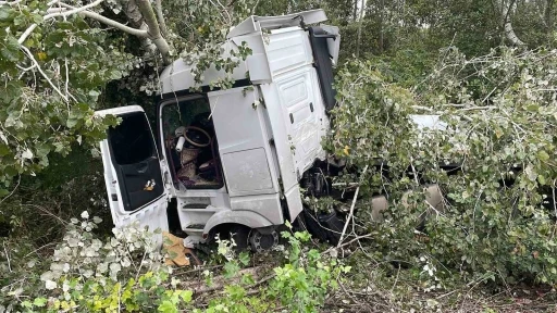 Anadolu Otoyolu’nda kontrolden çıkan tır, ağaca çarparak durabildi: 1 yaralı
