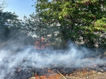 Anız yangını ormana sıçradı, 3 dönüm makilik alan zarar gördü
