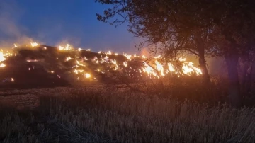 Anız yangınında 6 bin balya kül oldu, bahçeler zarar gördü
