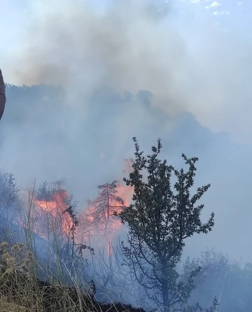 Ankara’da orman yangını
