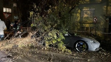 Ankara'da rüzgar nedeniyle üzerine ağaç devrilen otomobil hasar gördü