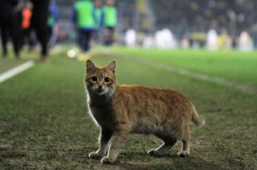 Ankaragücü Beşiktaş maçına beklenmedik misafir geldi