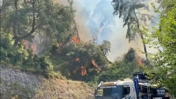 Antalya’da konteyner yangını ormanlık alana sıçradı
