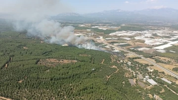 Antalya’da orman yangını
