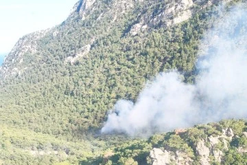 Antalya’daki orman yangını kontrol altına alındı