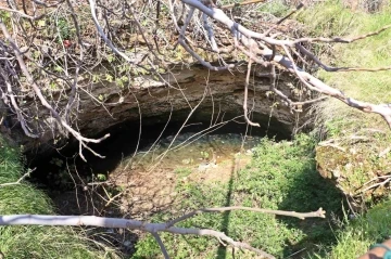 Antalya’nın göbeğinde 35 metre derinlikteki obrukta çok sayıda tatlı su canlısı tespit edildi
