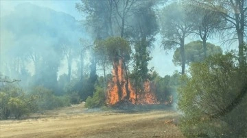 Antalya'da ormanlık alanda çıkan yangın kontrol altına alındı