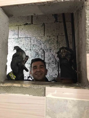 Apartman boşluğuna düşen kuşları itfaiye ekipleri kurtardı

