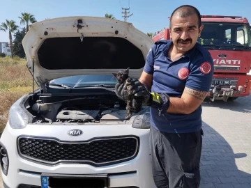 Araç motoruna sıkışan kediyi itfaiye kurtardı
