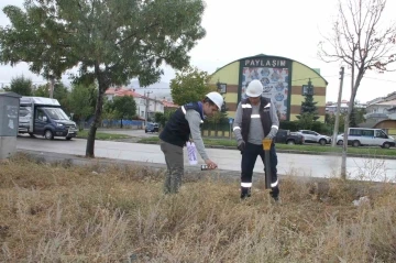 ARAS EDAŞ, altyapı çalışmalarına devam ediyor
