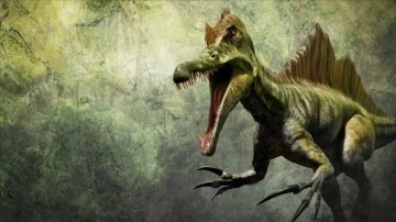 Araştırma: Dinozor türü "Spinosaurus" hem karada hem de suda yaşamış olabilir