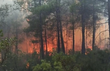 Arazide çıkan yangın ormana sıçradı, 25 dekar alan yandı
