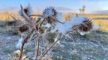 Ardahan'da soğuk hava nedeniyle sis, kırağı ve buzlanma oluştu