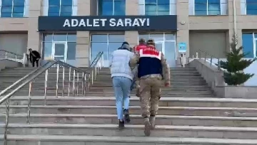 'Arı Operasyonu' düzenleyen jandarma 110 olayı aydınlattı: 8 tutuklama