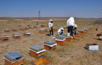 Arıcılar kara kışın ortasında arılara bakım ve yemleme yapıyor
