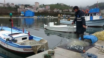 Arslan: &quot;Doğu Karadeniz her bir yıl balık avı açısından verimsizleşiyor&quot;
