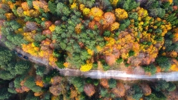 Artvin’in Karagöllerine ziyaretçi akını
