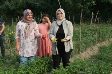 Ata tohum ile yerel çeşitler korunuyor
