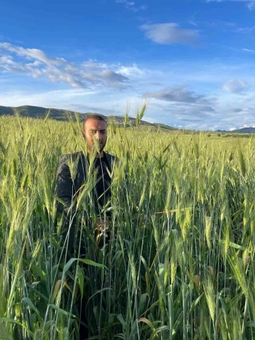 Ata tohumu çiftçinin yüzünü güldürüyor
