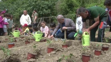 Ata tohumu fideler Üsküdar’da toprakla buluştu
