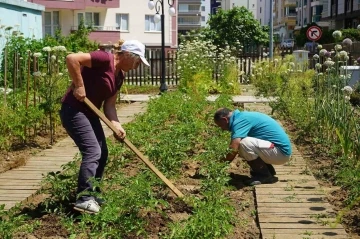 AtaTohum’da yazlık fideler toprakla buluştu
