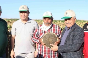 Ay çekirdeğinin kalbinde hasat başladı
