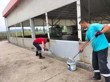 Ayazma Kapalı Pazarı’na bakım çalışması
