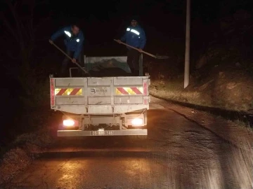 Aydın Büyükşehir Belediyesi’nden gece yarısı tuzlama çalışması
