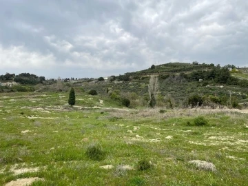 Aydın’da işlenmeyen tarım arazileri üretime kazandırılacak
